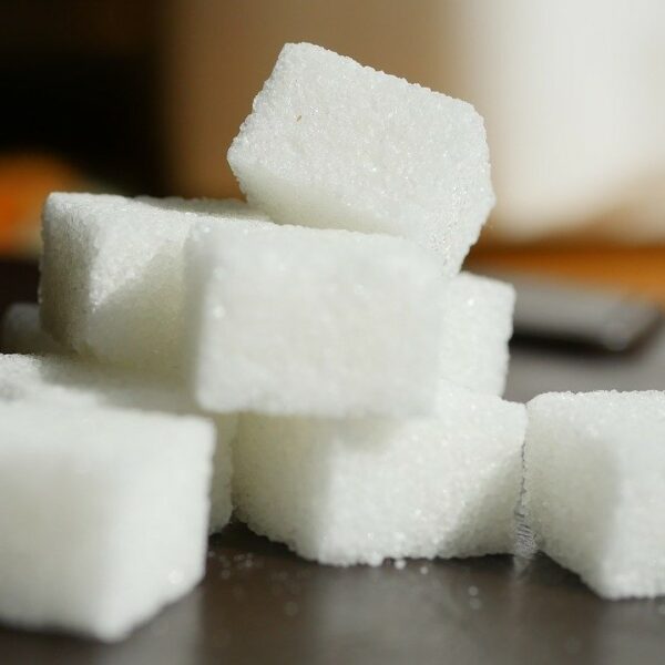 sugar gd641c0420 1280