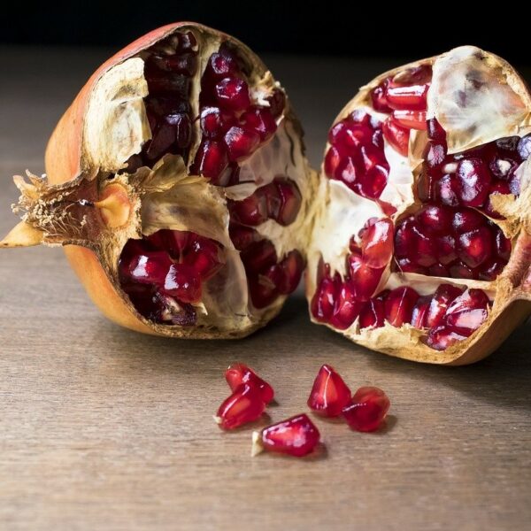 granada gbbd199503 1280