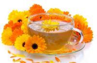 Erbe officinali per infusi, decotti, sfusi e in bustina