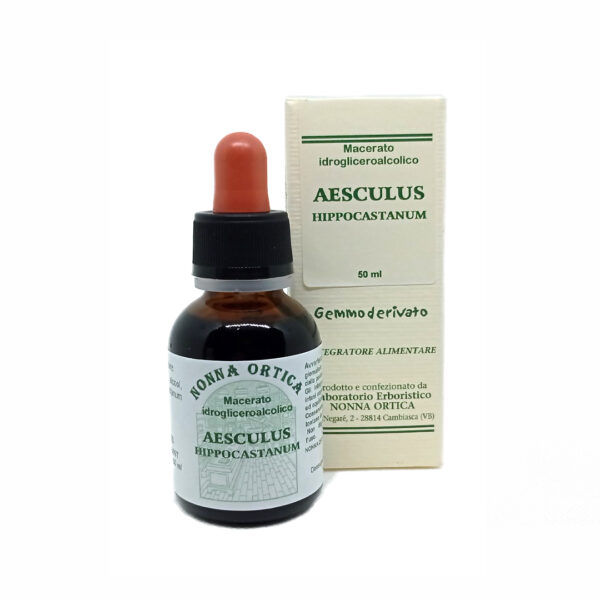 aesculus