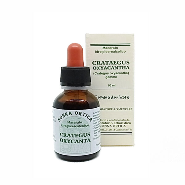 crategus ossicanta