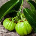 garcina cambogia e1633013947150