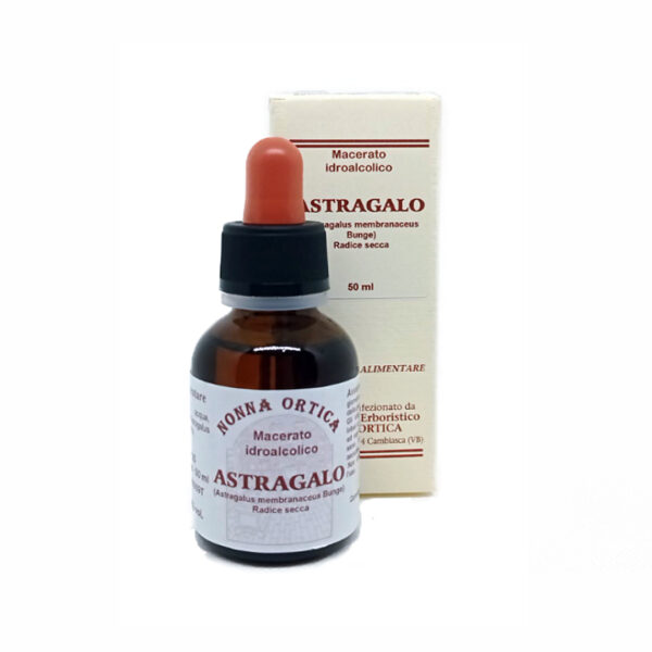 astragalo