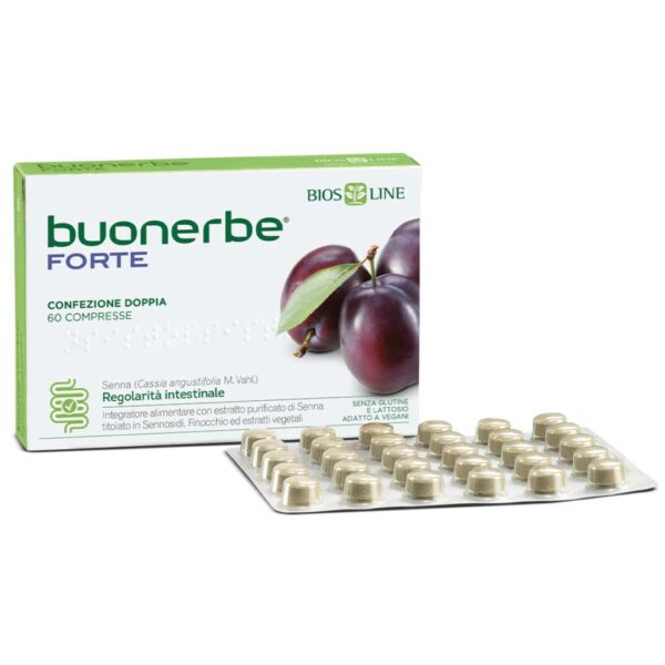 buonerbeforte