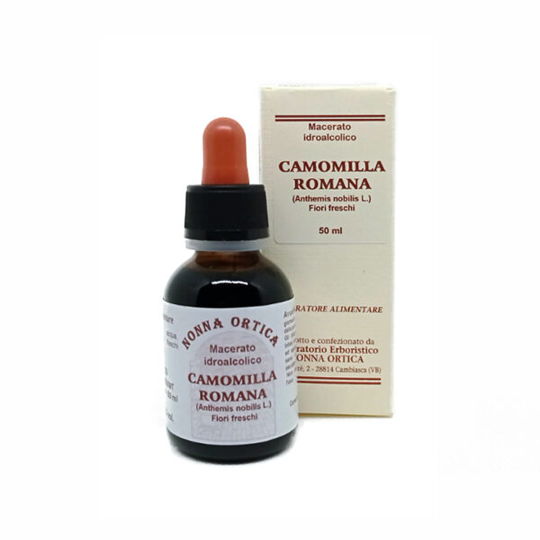 camomilla romana