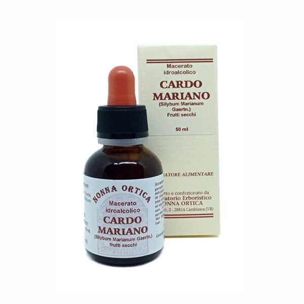cardo mariano