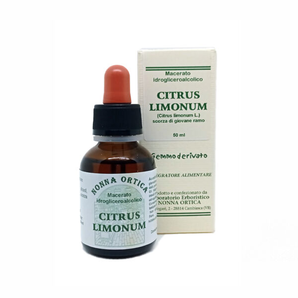 citrus limonum