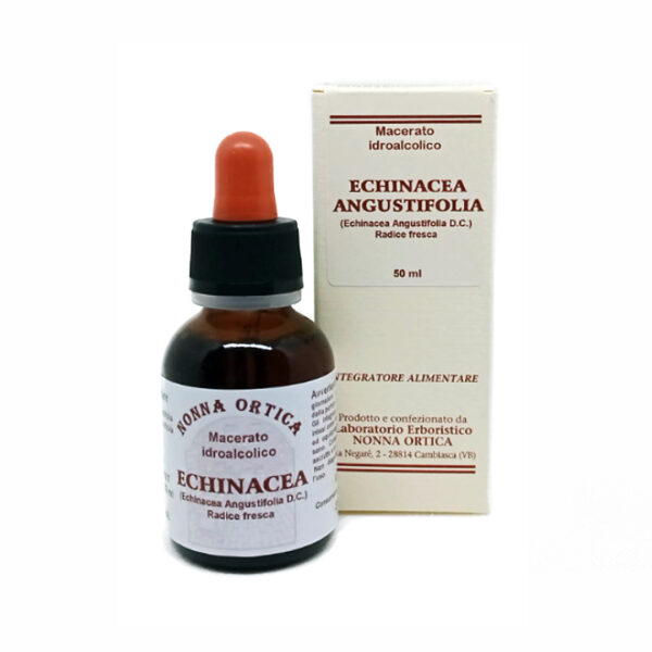 echinacea