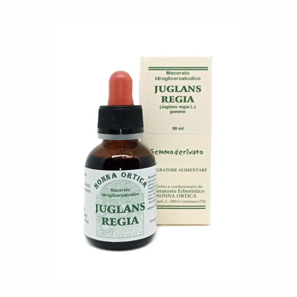 juglans regia