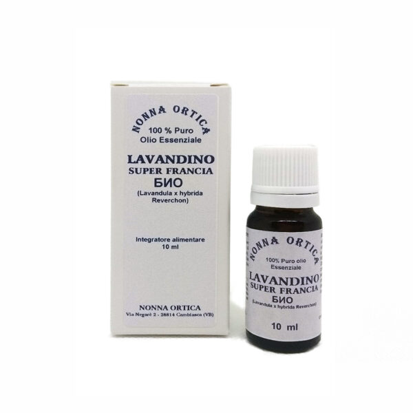 lavandino