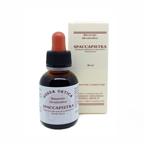 spaccapietra