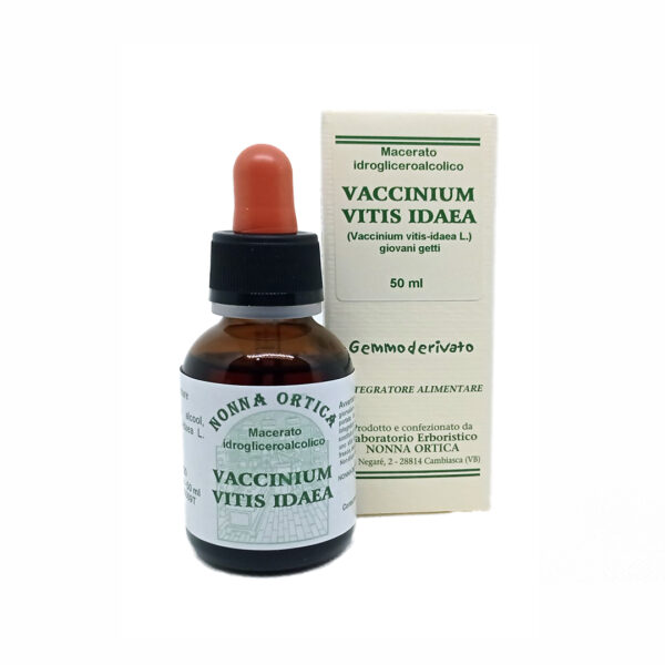 vaccinium vitis