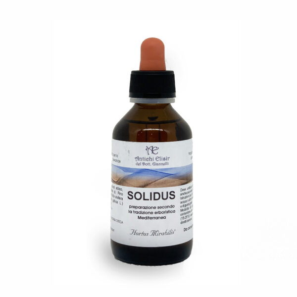 solidus