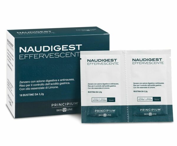 principium naudigest e1687360209712