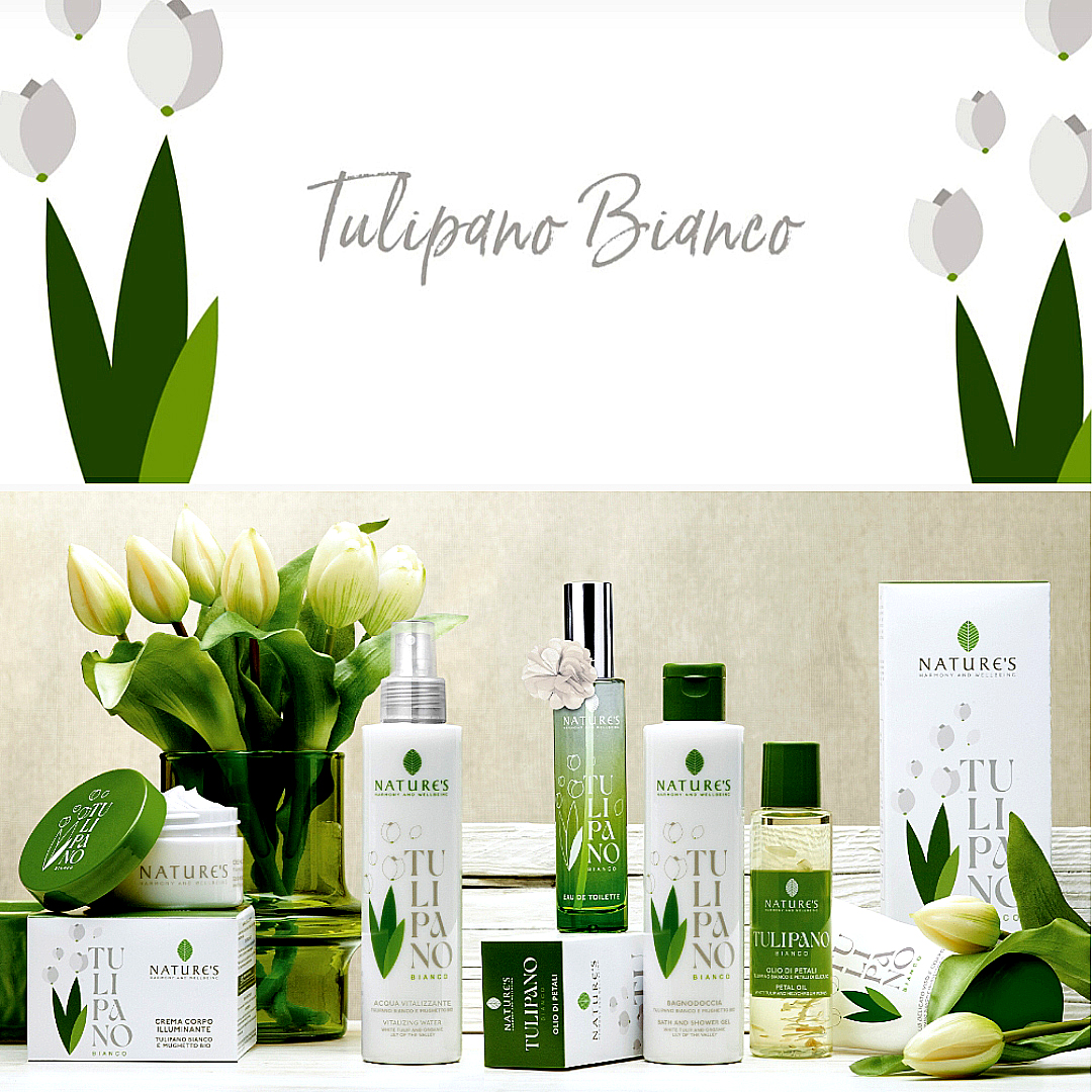 tulipano-0