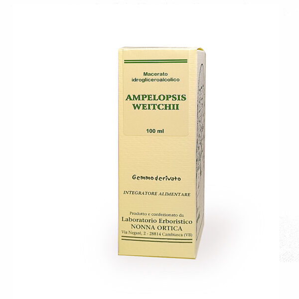 ampelopsis