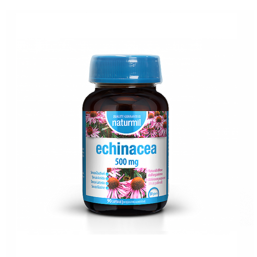 echinacea echinacea