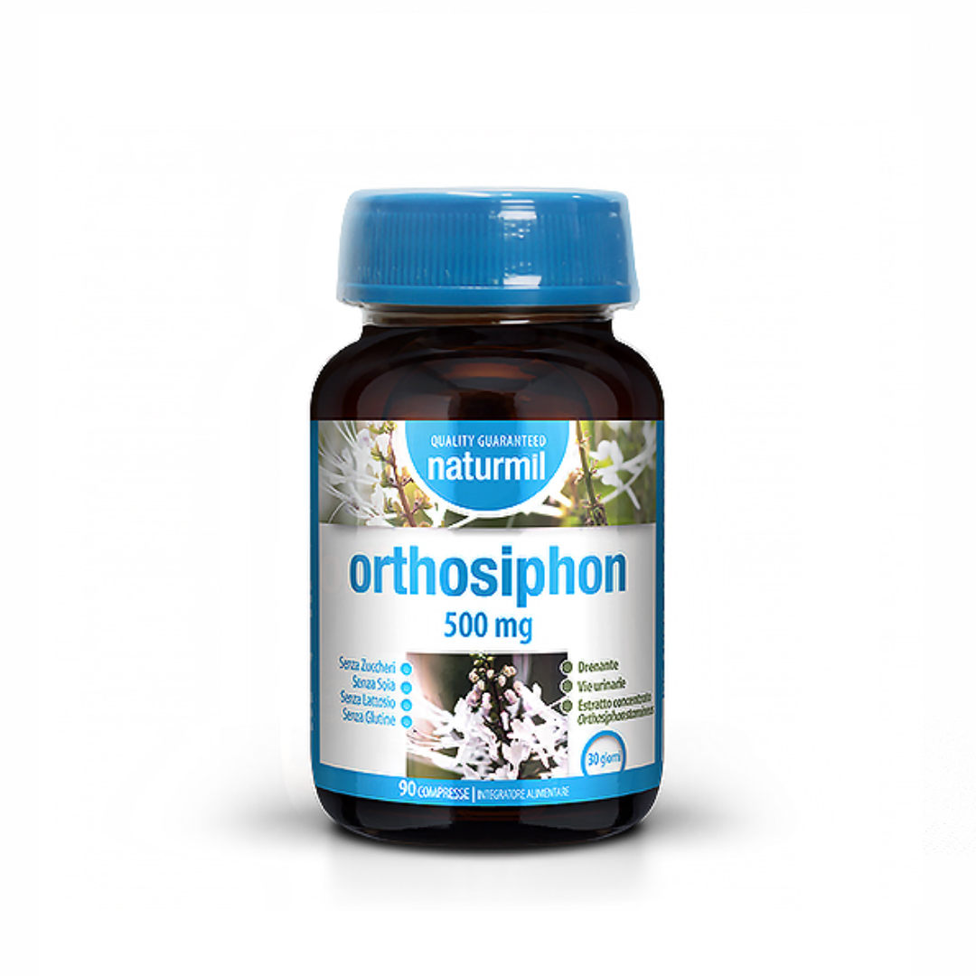 orthosiphon orthosiphon