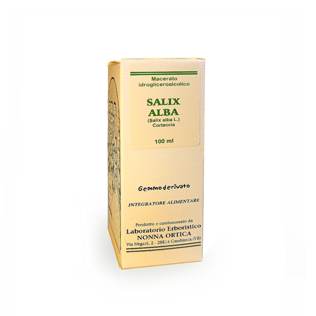 salix alba salix alba