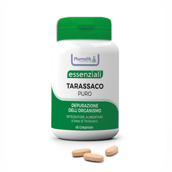 tarassaco