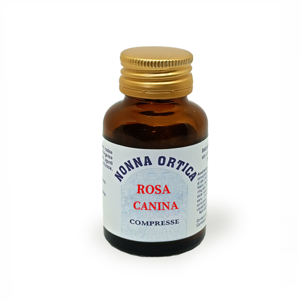 rosa canina