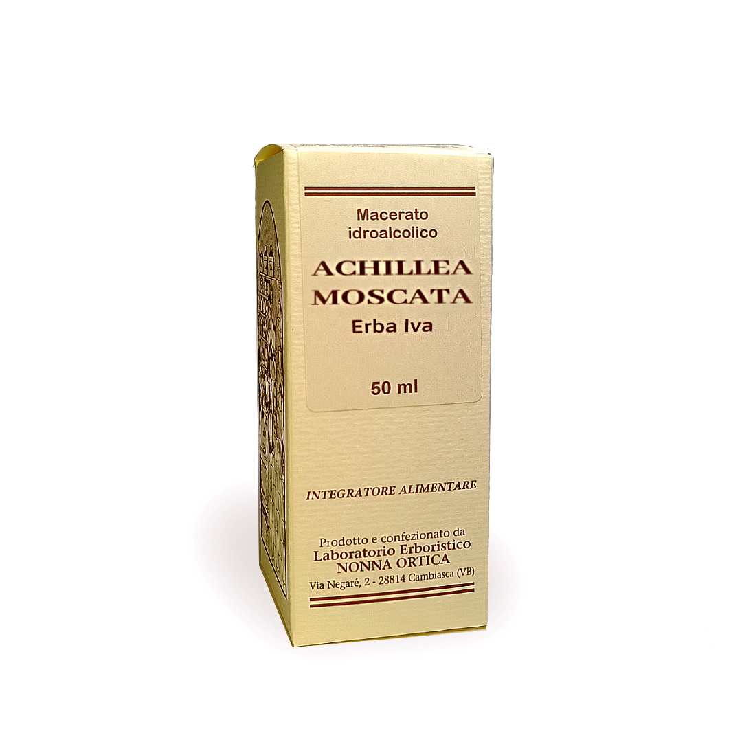 achillea
