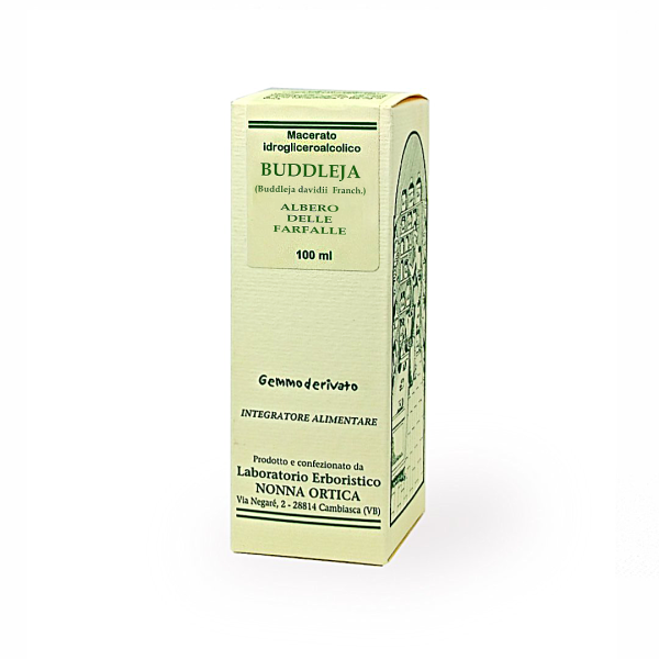 buddleja