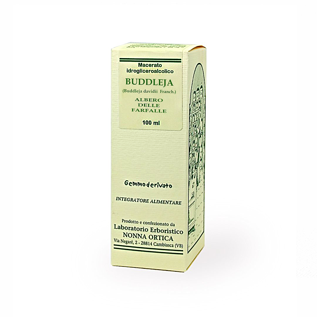 buddleja