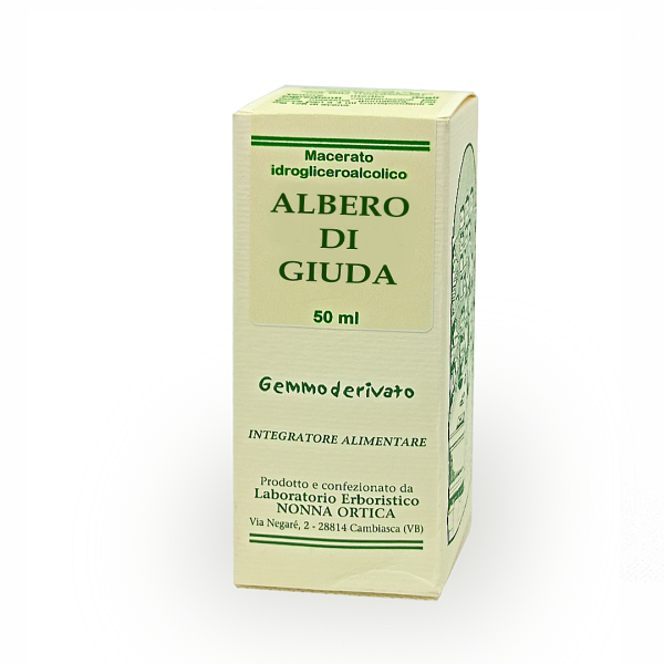albero di giuda