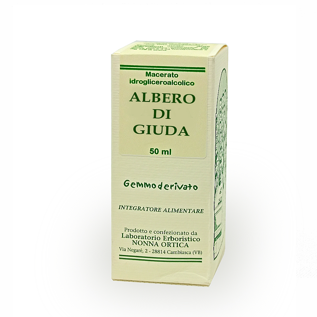 albero di giuda