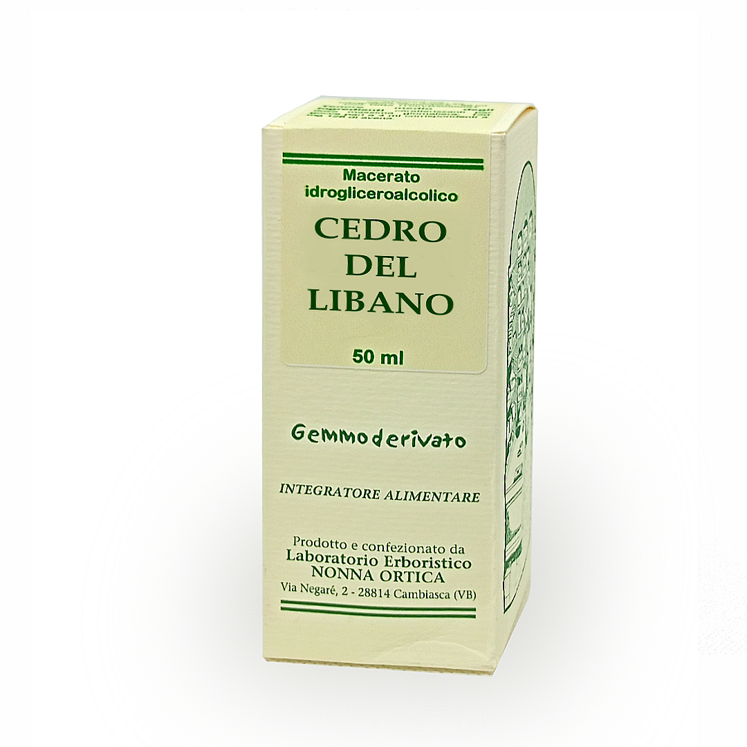 cedro del libano