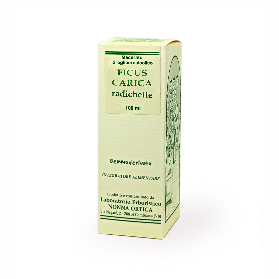 ficus carica