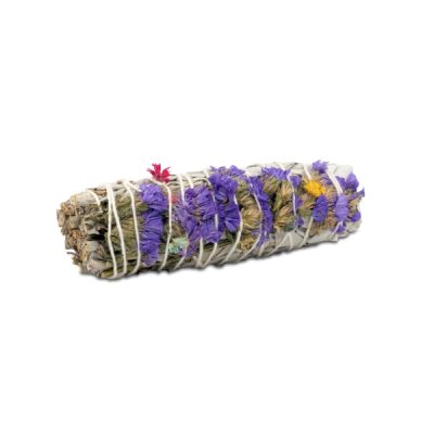 salvia yoga